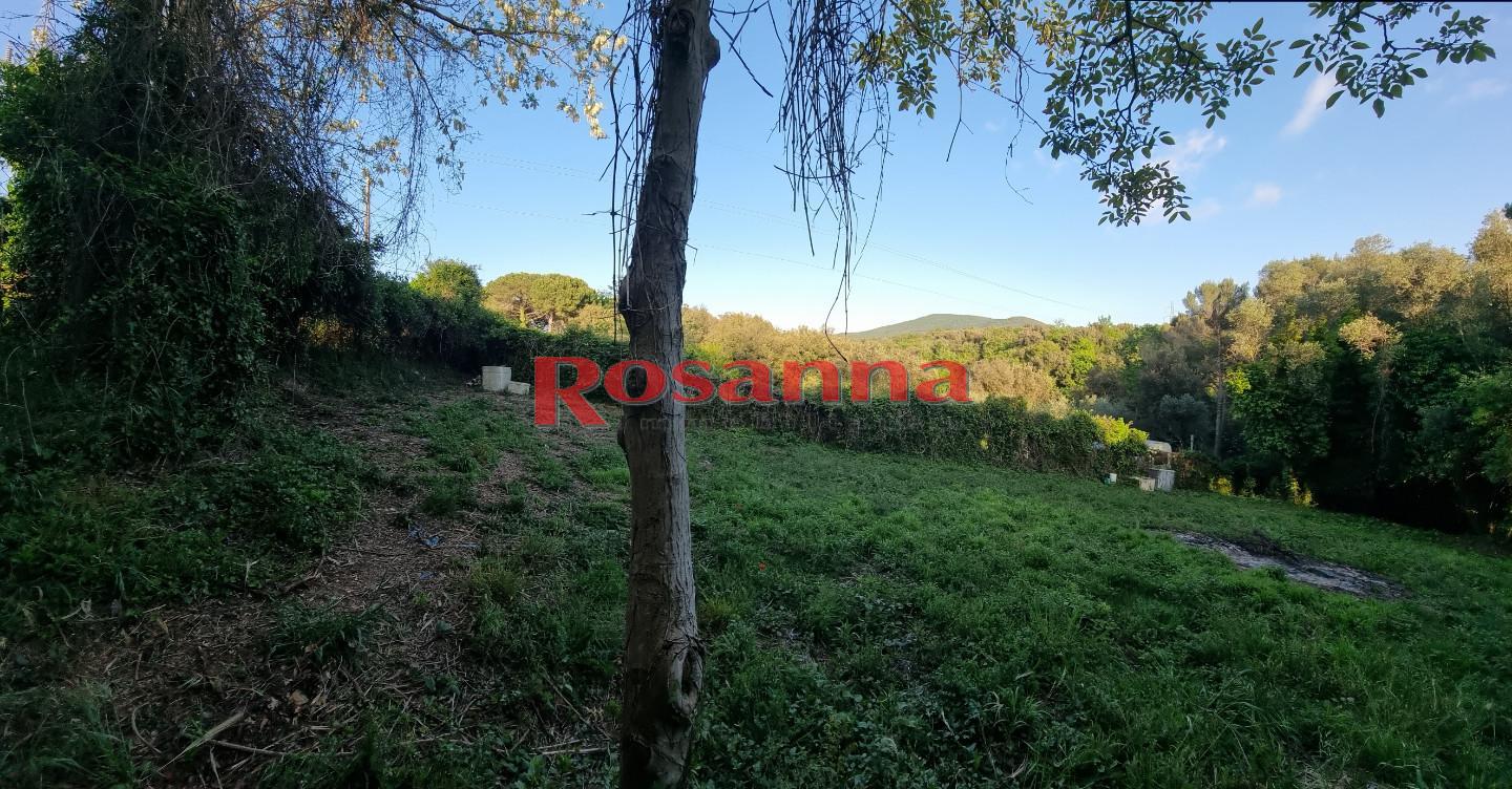 Terreno Agricolo in vendita, Livorno porta a terra