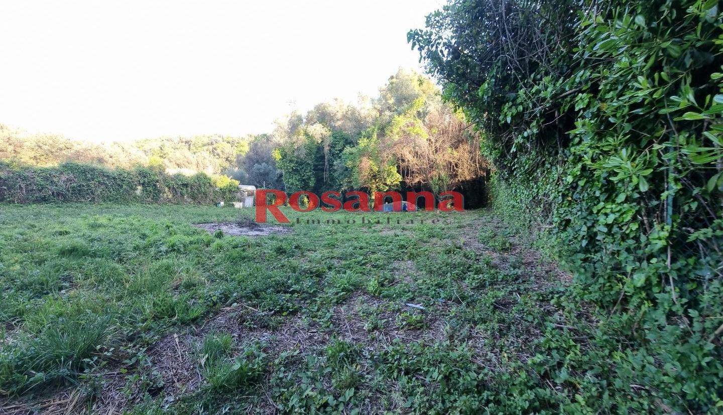 Terreno Agricolo in vendita, Livorno porta a terra
