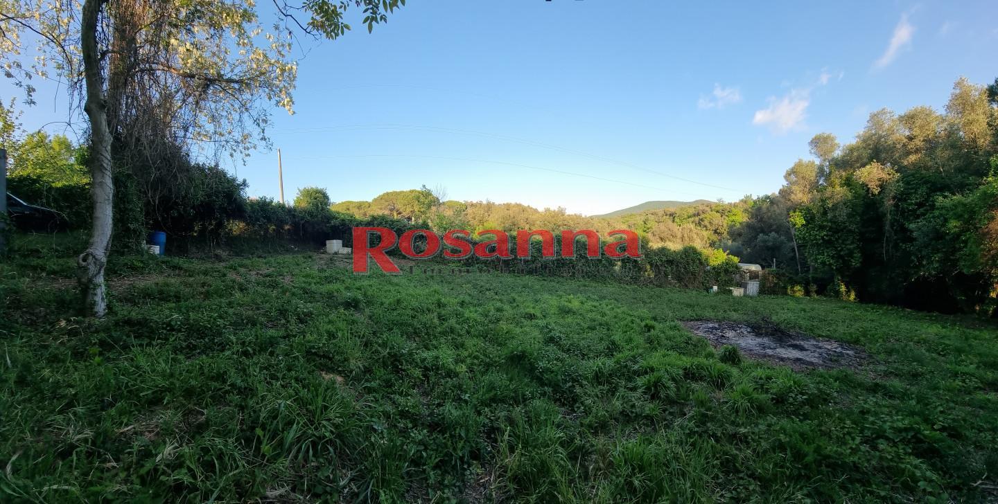 Terreno Agricolo in vendita, Livorno porta a terra