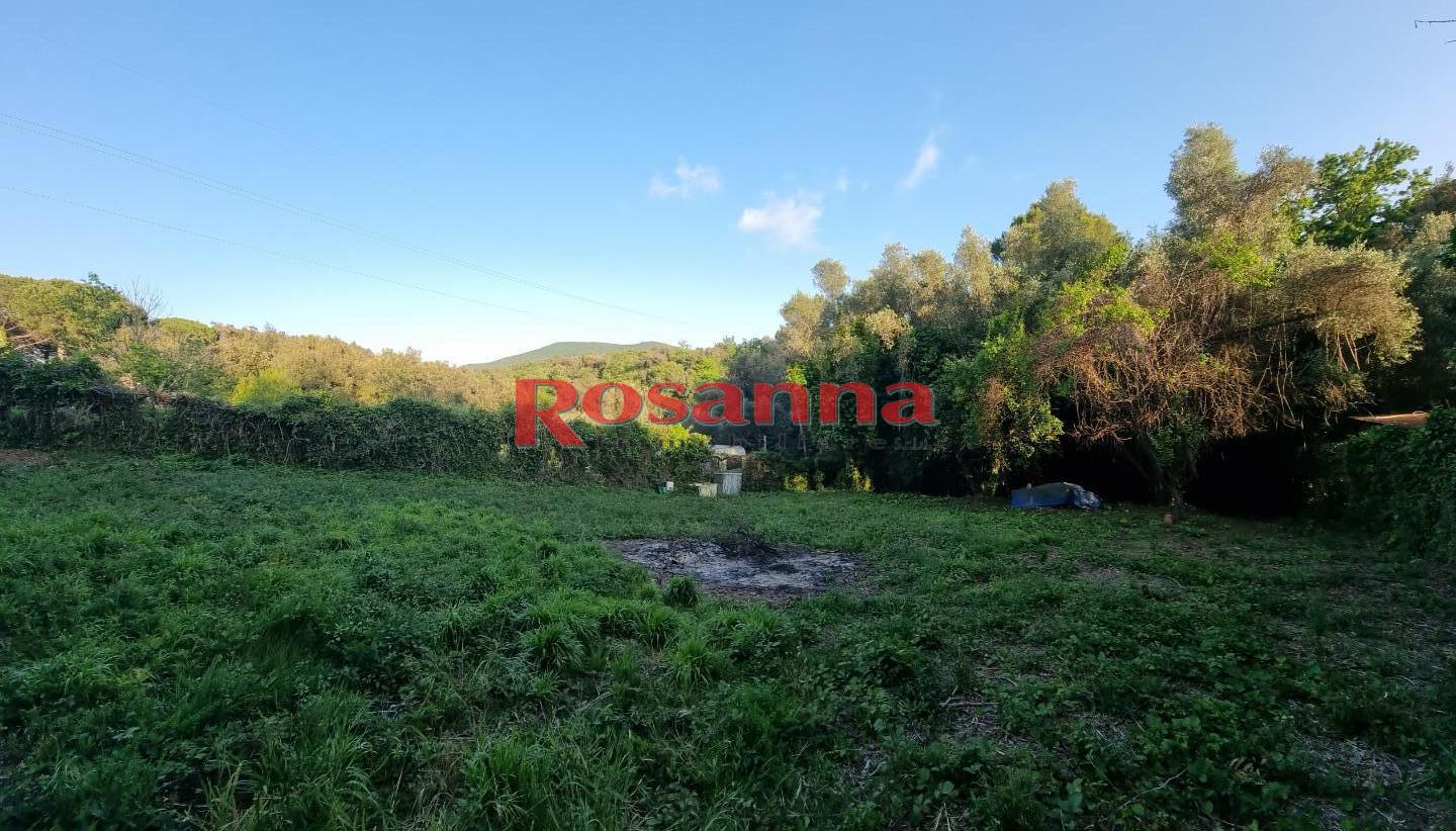 Terreno Agricolo in vendita, Livorno porta a terra