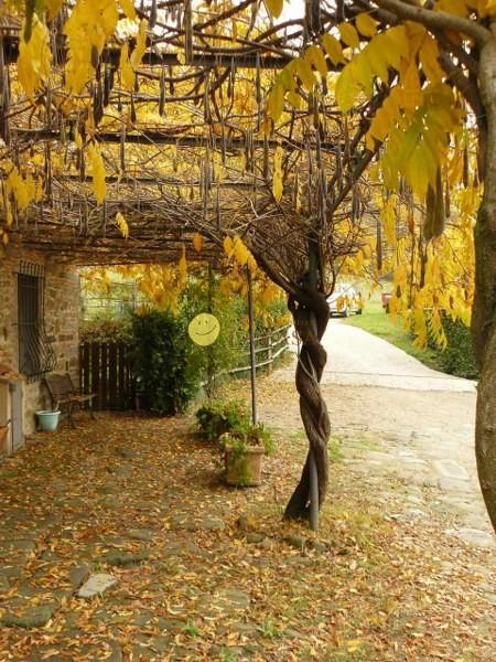 Quadrilocale con giardino, Reggello leccio