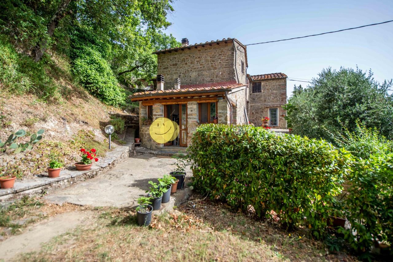 Rustico con giardino a Greve in Chianti