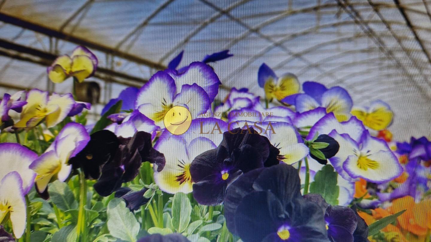 Attivit� commerciale in vendita a Reggello