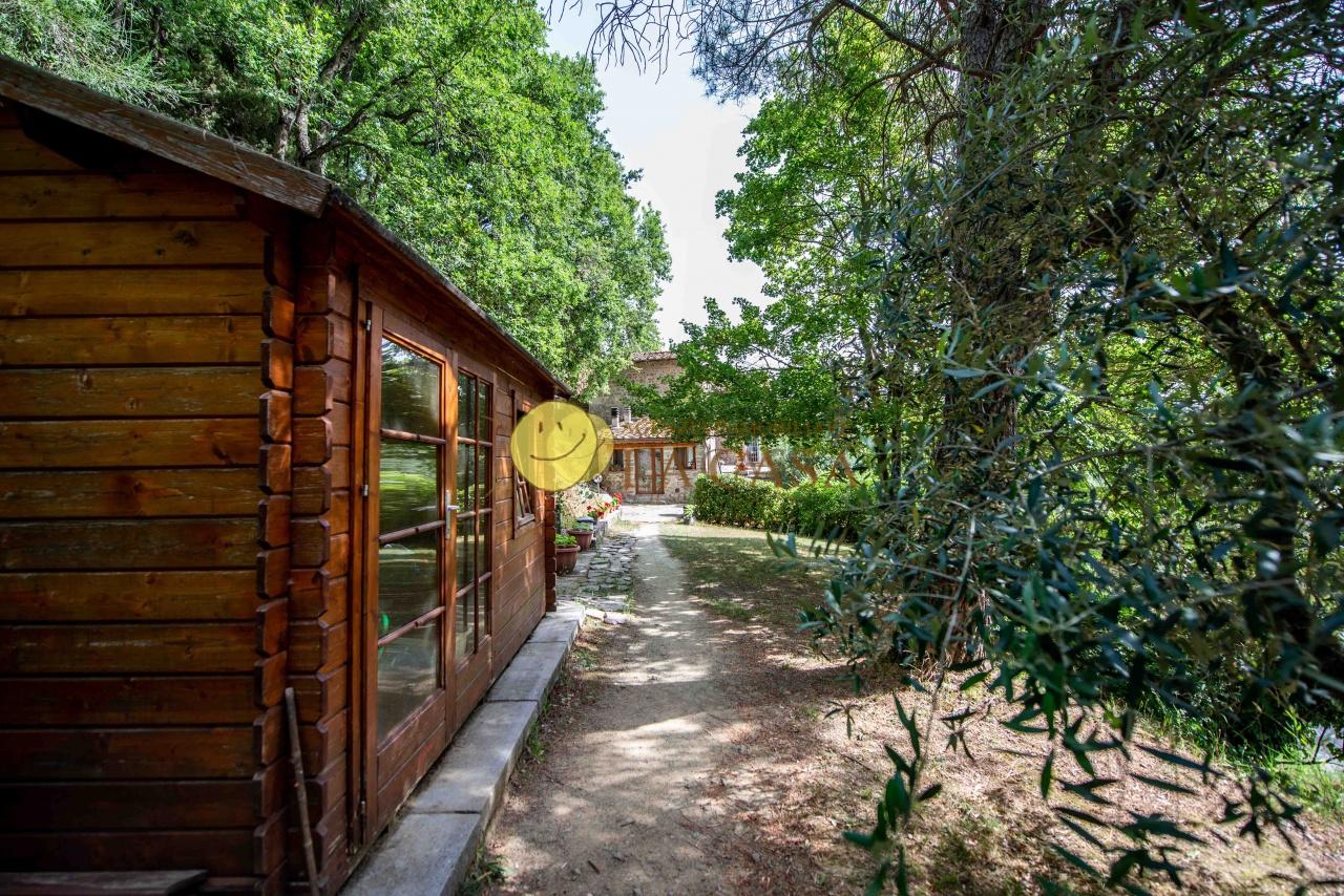 Rustico con giardino a Greve in Chianti