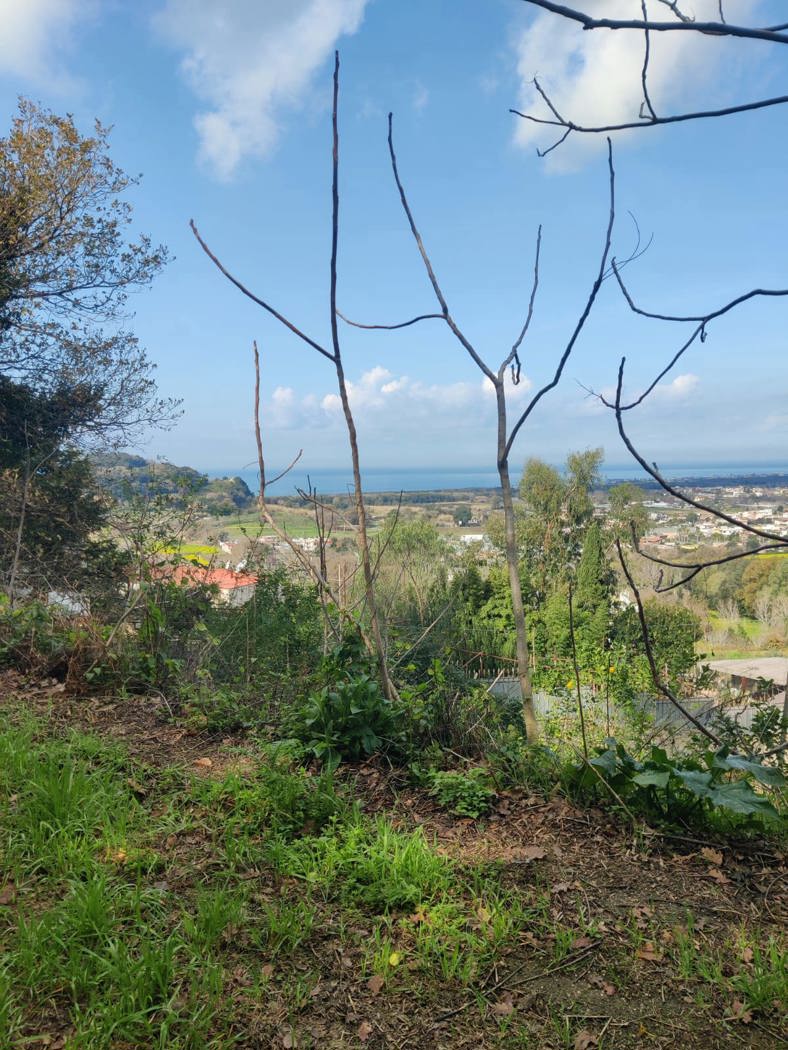 Terreno Agricolo in vendita a Bacoli