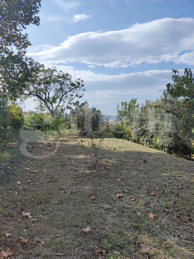 Terreno Agricolo in vendita a Bacoli