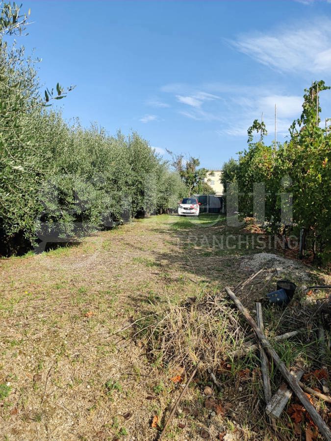 Terreno Agricolo in vendita a Bacoli