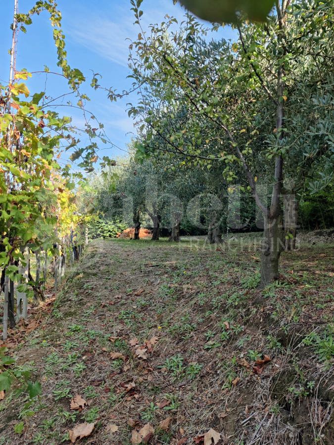 Terreno Agricolo in vendita a Bacoli