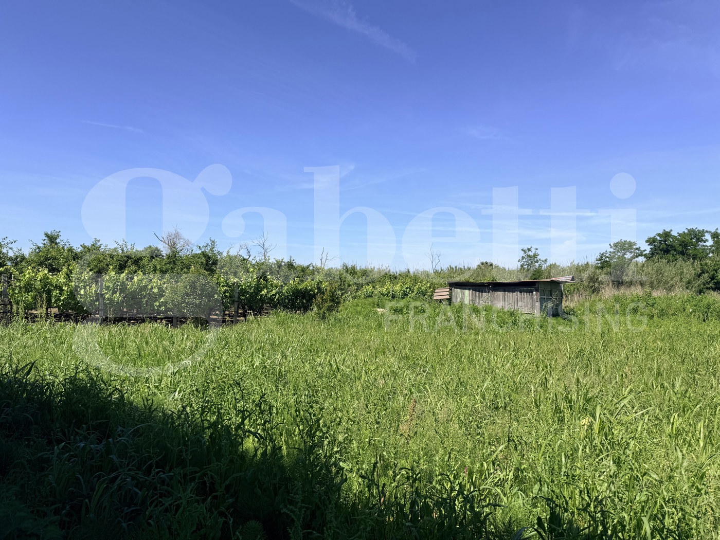 Terreno Agricolo in vendita a Pozzuoli