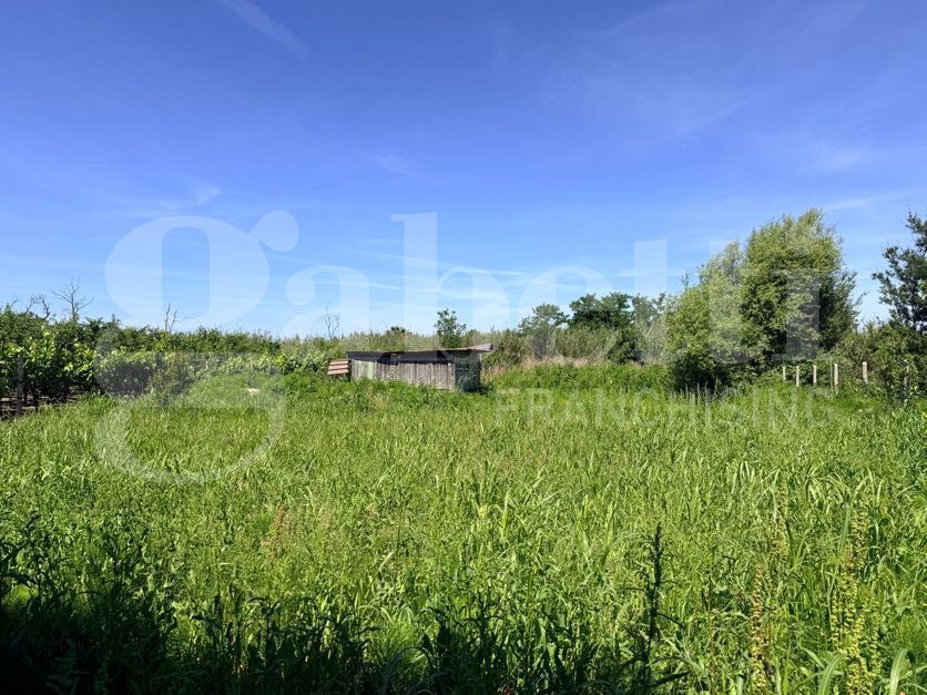 Terreno Agricolo in vendita a Pozzuoli