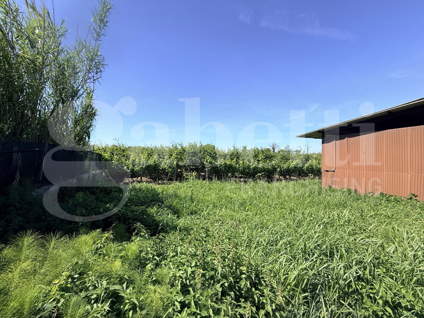 Terreno Agricolo in vendita a Pozzuoli