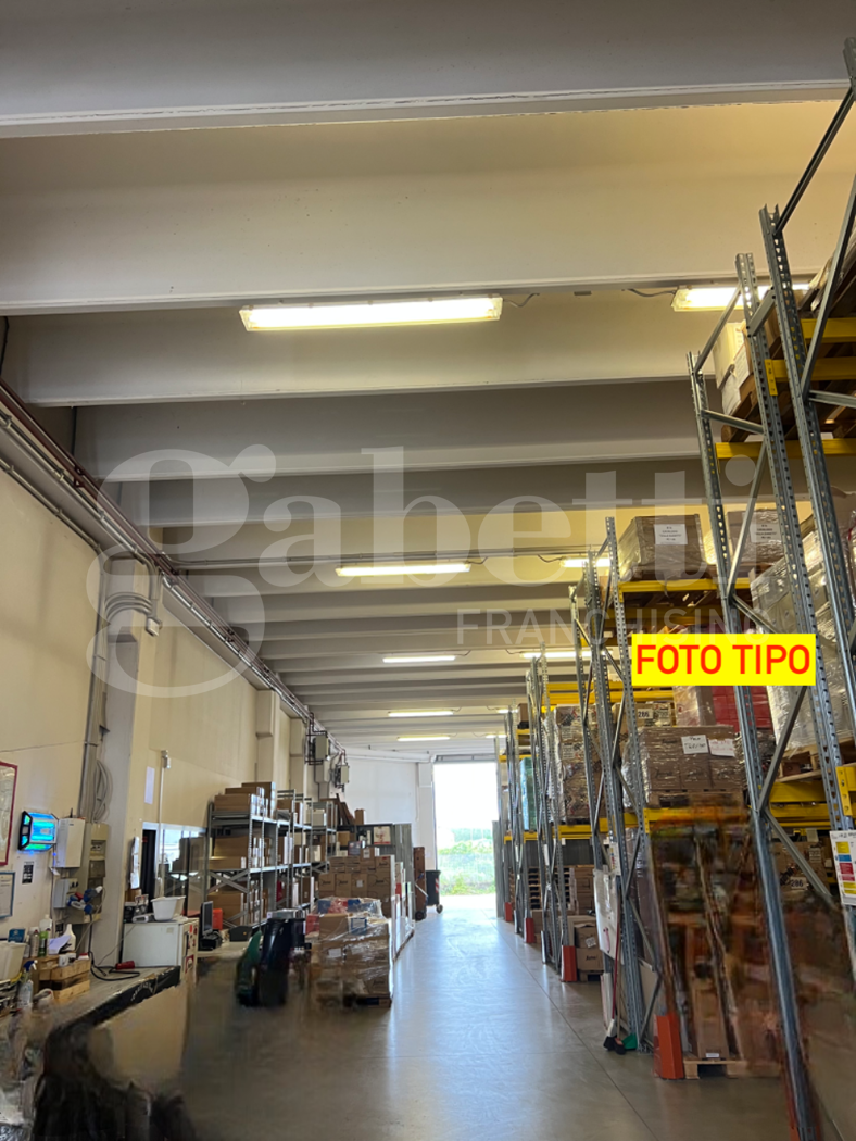 immagine annuncio 4 di 10