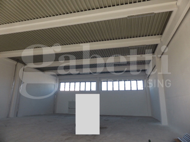 Capannone in affitto a Casale sul Sile