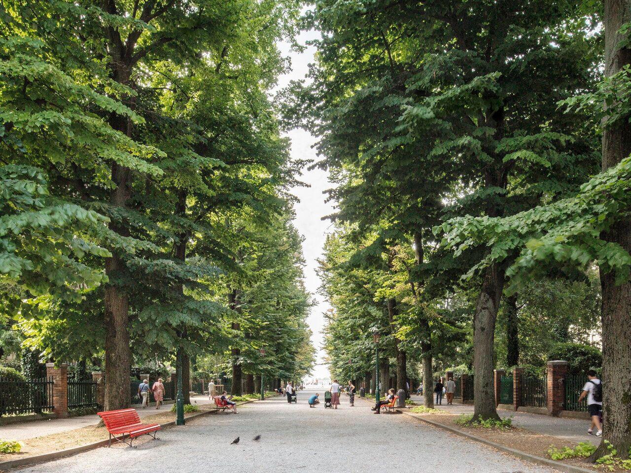 Appartamento in vendita a Venezia