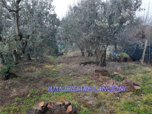 Terreno in vendita, Scandicci vingone