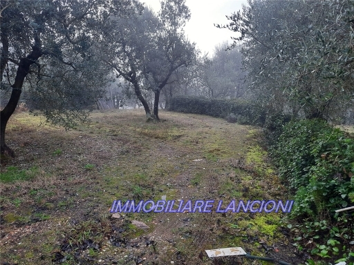 Terreno in vendita, Scandicci vingone