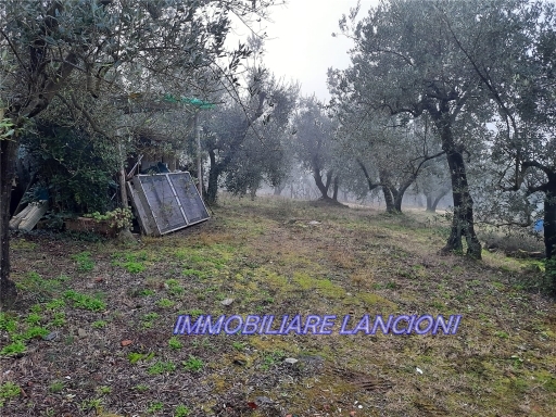 Terreno in vendita, Scandicci vingone