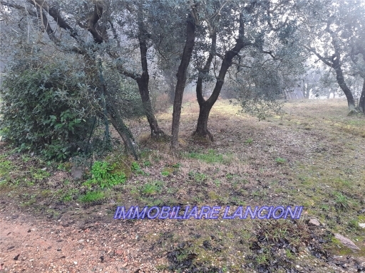 Terreno in vendita, Scandicci vingone