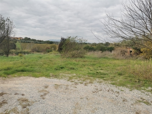 Terreno in vendita, Lamporecchio mastromarco