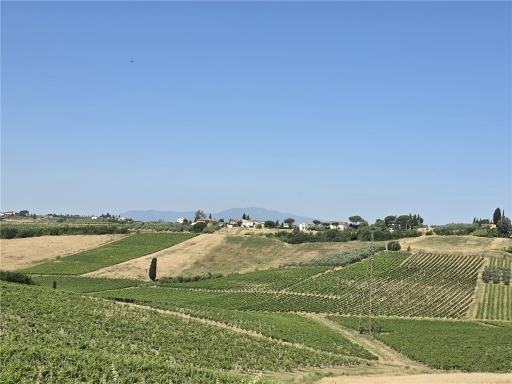 Villa con giardino, Cerreto Guidi san zio