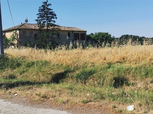 Rustico con giardino, Empoli corniola