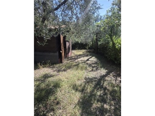 Villa con giardino, Vinci tigliano