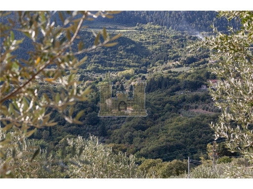 Rustico con giardino, Sesto Fiorentino cercina