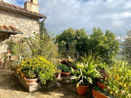 Rustico con giardino, Sesto Fiorentino cercina