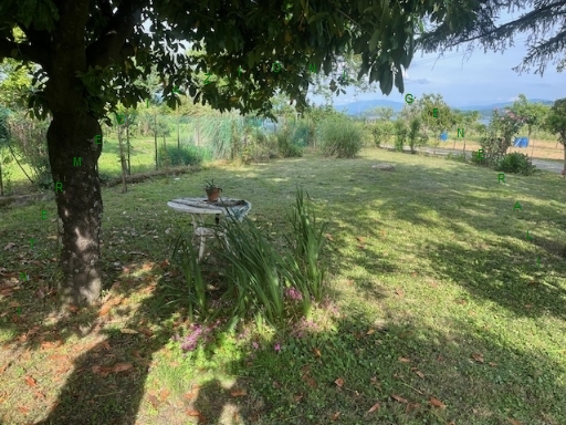 Rustico con giardino a Barberino di Mugello