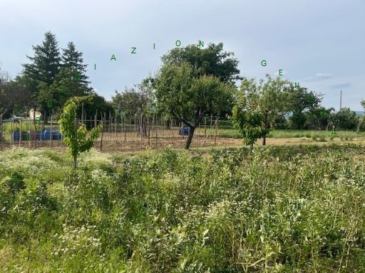 Rustico con giardino a Barberino di Mugello