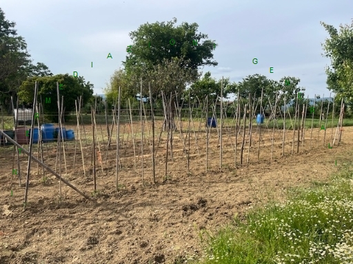 Rustico con giardino a Barberino di Mugello