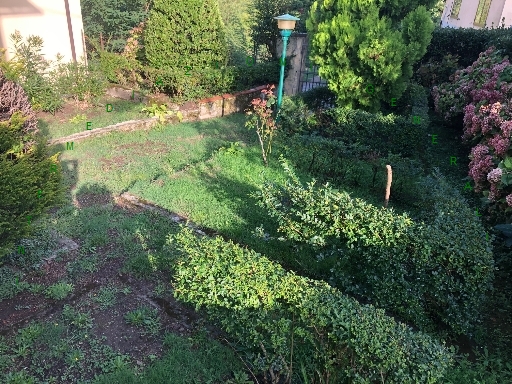 Villa con giardino, Vicchio villore