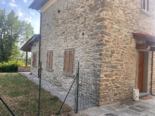 Rustico con giardino, Borgo San Lorenzo ronta