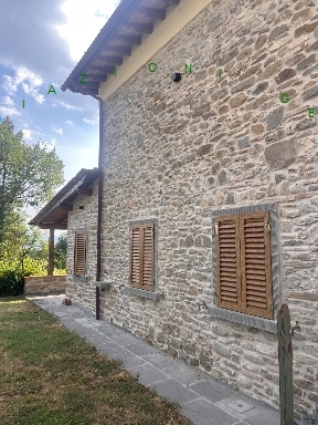 Rustico con giardino, Borgo San Lorenzo ronta