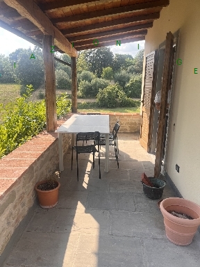 Rustico con giardino, Borgo San Lorenzo ronta