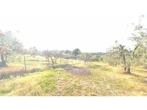 Terreno in vendita, Scandicci san martino alla palma