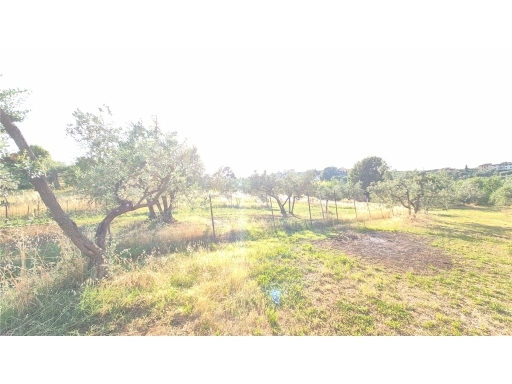 Terreno in vendita, Scandicci san martino alla palma