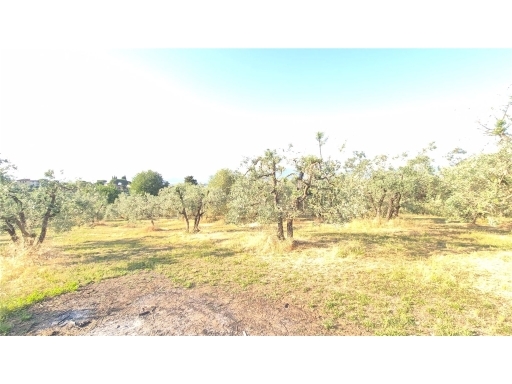 Terreno in vendita, Scandicci san martino alla palma