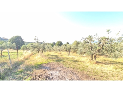 Terreno in vendita, Scandicci san martino alla palma