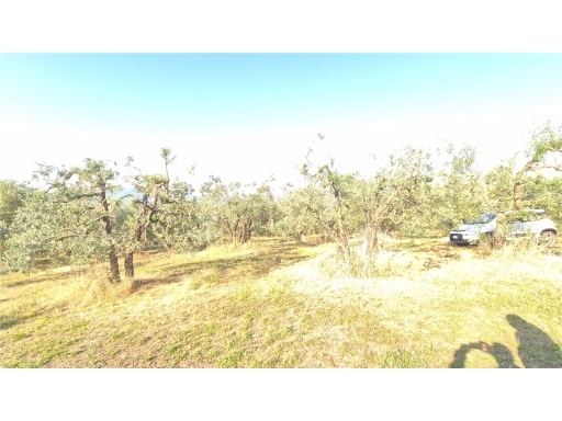 Terreno in vendita, Scandicci san martino alla palma