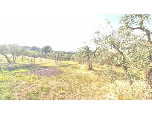 Terreno in vendita, Scandicci san martino alla palma