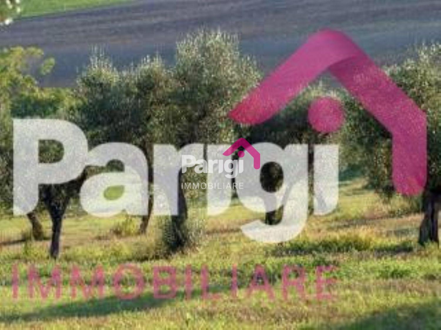 Terreno Agricolo in vendita a Prato