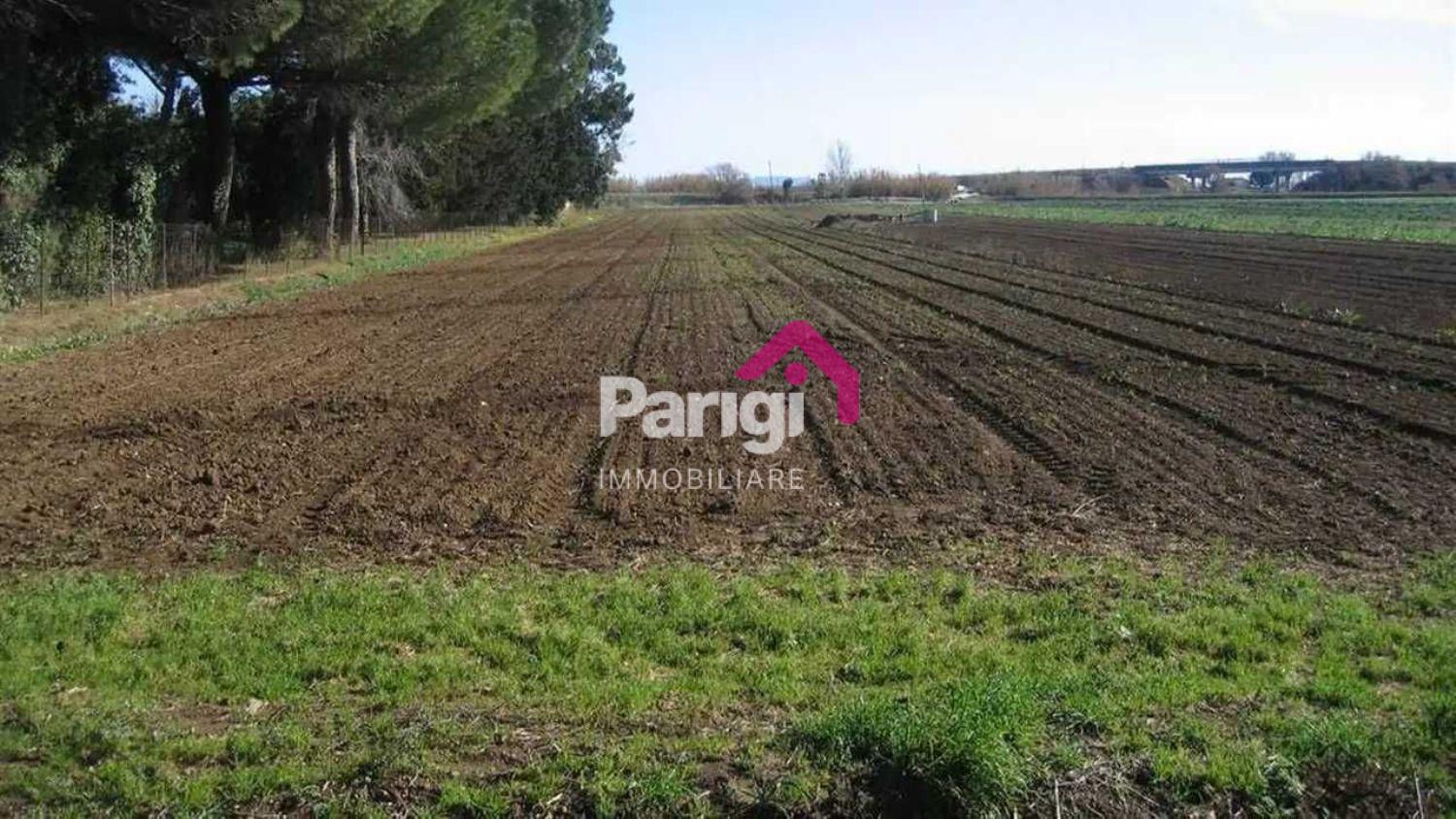 Terreno Agricolo nuovo a Prato