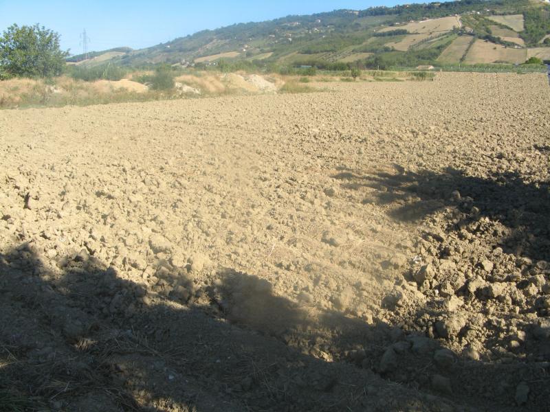 Terreno Art.le/Comm.le/Ind.le in vendita a Monteprandone, CENTOBUCHI - SOTTO SALARIA