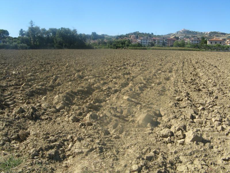 Terreno Art.le/Comm.le/Ind.le in vendita a Monteprandone, CENTOBUCHI - SOTTO SALARIA