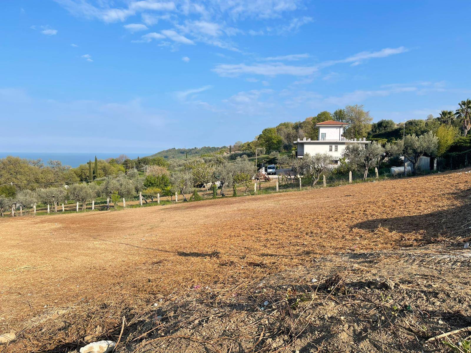 immagine annuncio 1 di 4