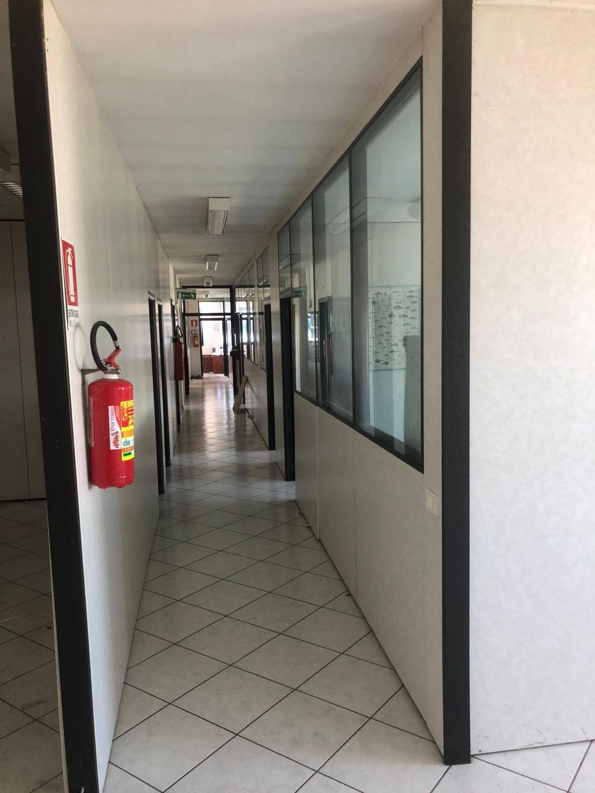 Capannone Industriale/Artigianale in vendita a Monteprandone, CENTOBUCHI - SOTTO SALARIA