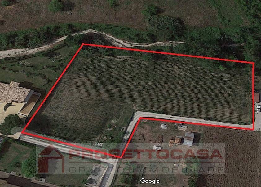 Terreno Agricolo in vendita a Maltignano