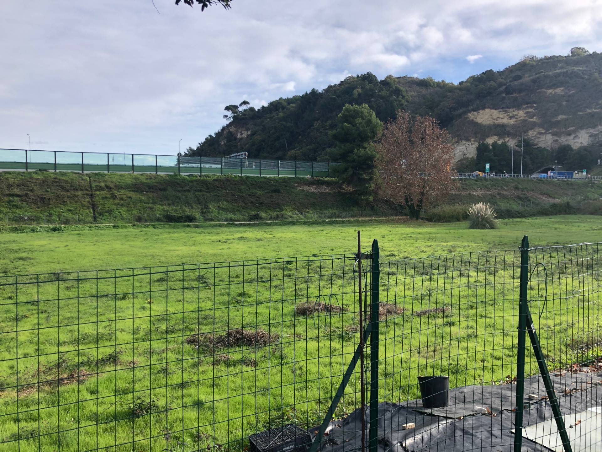 Terreno Art.le/Comm.le/Ind.le in vendita a Pedaso