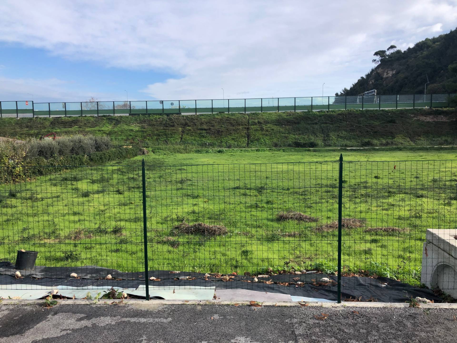 Terreno Art.le/Comm.le/Ind.le in vendita a Pedaso